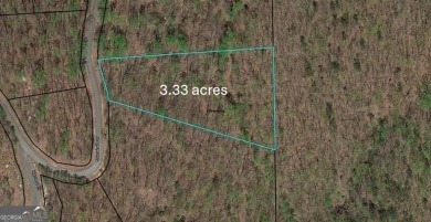 Lake Acreage For Sale in Cleveland, Georgia
