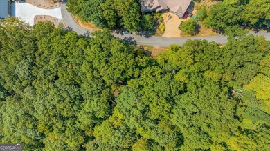 This high elevation 3+ acre scenic mountain view homesite is in - photo 5