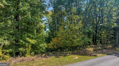This high elevation 3+ acre scenic mountain view homesite is in - photo 6