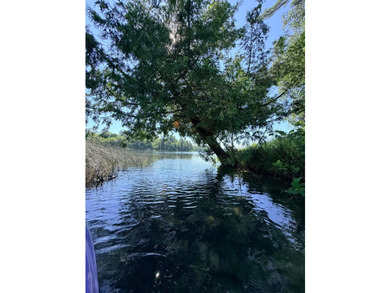100 Feet on McKeown Lake! Create your Northwoods getaway on this - photo 11