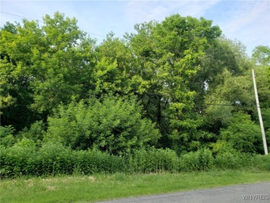 Welcome to 3835 Chase Rd., Middleport NY. This property has 8.6 - photo 5