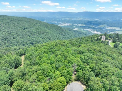 Lake Acreage For Sale in Dunlap, Tennessee