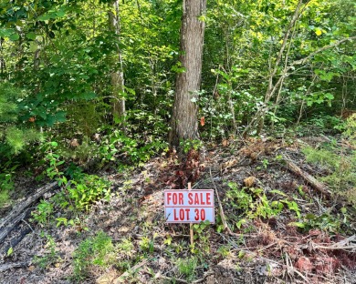 Lake Cumberland Lot For Sale in Somerset Kentucky