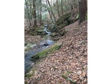 Lake Lot For Sale in Ellijay, Georgia