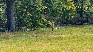A true sanctuary for both horse lovers & lake enthusiasts, this - photo 7