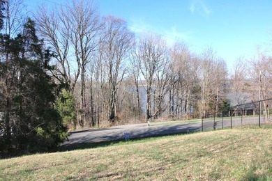 LAKE VIEW LOT ON LAKE VIEW DRIVE! PERFECT LOT FOR YOUR DREAM - photo 11