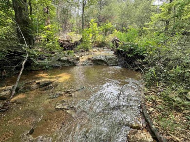 Ozark Dream Cabin - New Log Home on 6+/- Acres waiting on you to