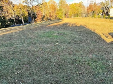 LAKE VIEW LOT ON LAKE VIEW DRIVE! PERFECT LOT FOR YOUR DREAM - photo 12