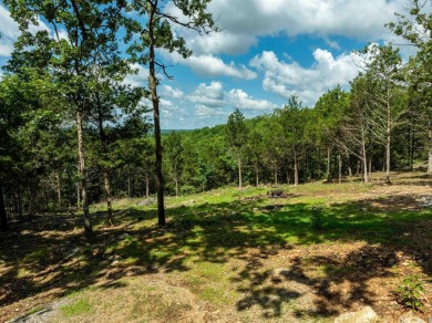 Ozark Dream Cabin - New Log Home on 6+/- Acres waiting on you to