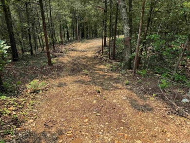 Ozark Dream Cabin - New Log Home on 6+/- Acres waiting on you to