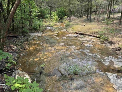 Ozark Dream Cabin - New Log Home on 6+/- Acres waiting on you to