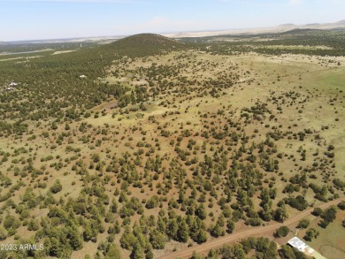 (private lake, pond, creek) Acreage For Sale in Vernon Arizona