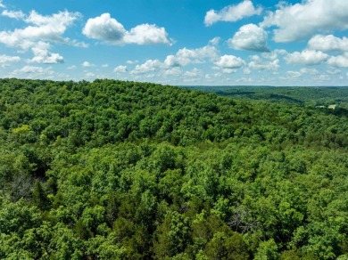 Ozark Dream Cabin - New Log Home on 6+/- Acres waiting on you to