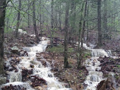 Ozark Dream Cabin - New Log Home on 6+/- Acres waiting on you to