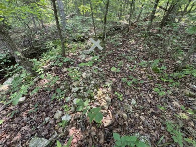 Ozark Dream Cabin - New Log Home on 6+/- Acres waiting on you to