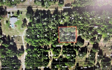 Citrus Lake  Lot For Sale in Inverness Florida
