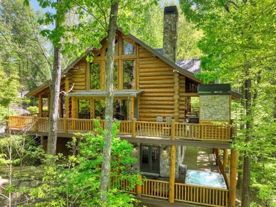 (private lake, pond, creek) Home For Sale in Blue Ridge Georgia