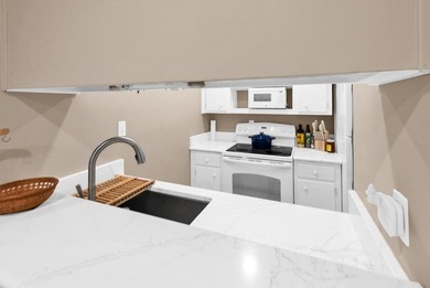 PRICED TO SELL! Updated 2-bedroom, 2 full-bath SUNLIT hideaway - photo 8