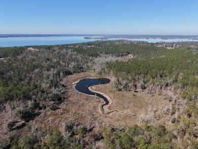 Lake Acreage For Sale in Bainbridge, Georgia