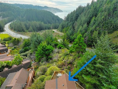 Turnkey Ocean View Cabin - Updated, Income-Producing & Steps to - photo 21