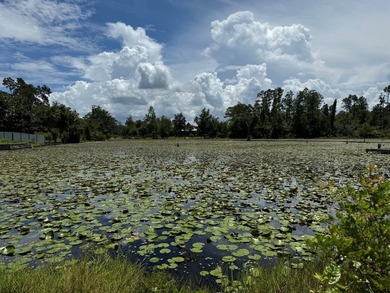 Great lot located in Cypress Village Subdivision. Lot 98 of - photo 2