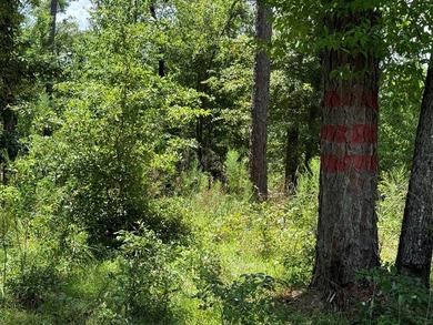 Great lot located in Cypress Village Subdivision. Lot 98 of - photo 5