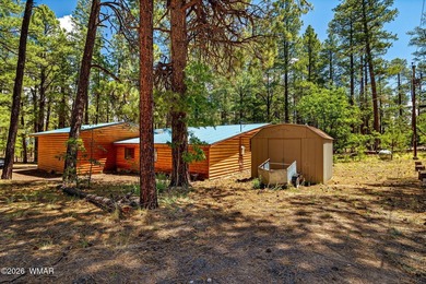 Nestled among the tall pines of Alpine, this charming mountain - photo 26