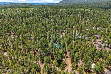 Nestled among the tall pines of Alpine, this charming mountain - photo 31