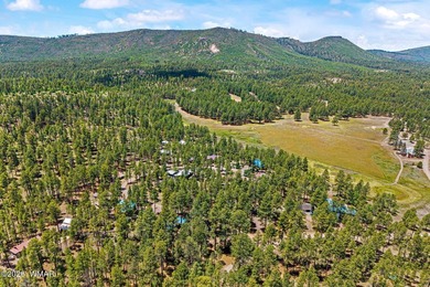 Nestled among the tall pines of Alpine, this charming mountain - photo 34