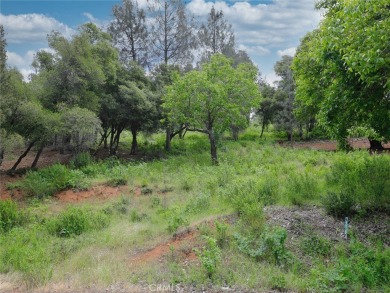Lake Lot For Sale in Kelseyville, California