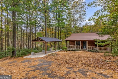 Lake Home For Sale in Ellijay, Georgia