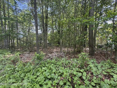 Sunset Lake Lot For Sale in Pocono Summit Pennsylvania