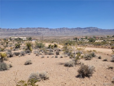 Lake Mead Lot For Sale in Meadview Arizona