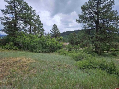 Lake Lot For Sale in Pagosa Springs, Colorado