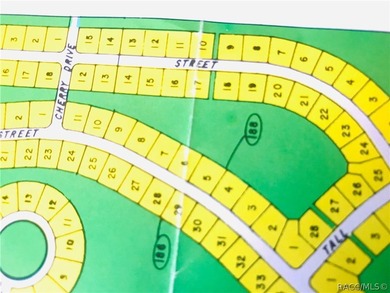 Premium homesite in Oak Village at Sugarmill Woods. Lot 10 Block - photo 1