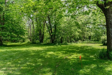 Chester Lake Lot For Sale in Chesterville Ohio