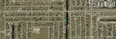 FANTASTIC FRESHWATER CANAL LOT in the fast-growing Cape Coral - photo 2