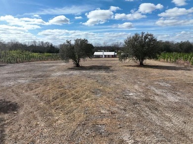 Discover a rare opportunity to own 36 partially cleared - photo 6