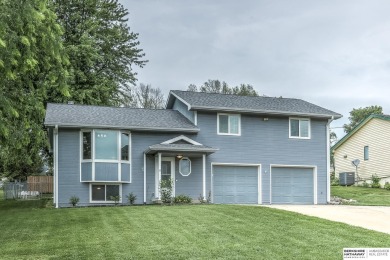 Beaver Lake Home For Sale in Plattsmouth Nebraska