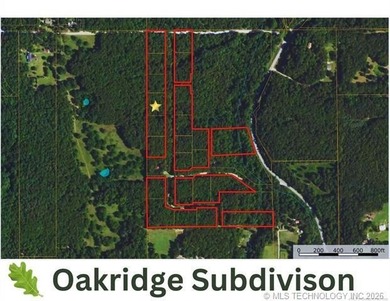 Seller says get it gone! This 1.03+/- acre wooded lot in - photo 1