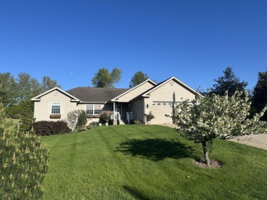 Lake Home For Sale in Brooklyn, Michigan