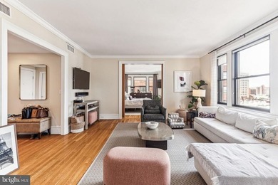 Fabulous Flat in the Heart of Rittenhouse Square - Sun-drenched - photo 4
