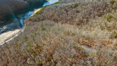 Lake Lot For Sale in Allons, Tennessee