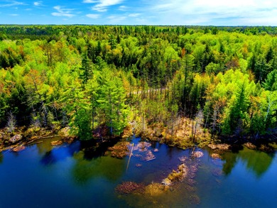 A unique property to place a pier and enjoy a full recreational - photo 6