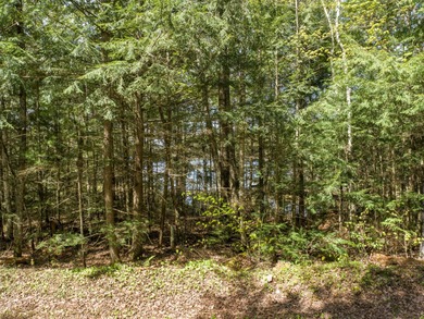 A unique property to place a pier and enjoy a full recreational - photo 7