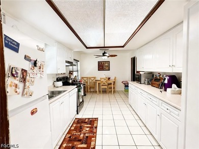 Welcome to 196 E Mariana Ave in North Fort Myers, a truly unique - photo 9