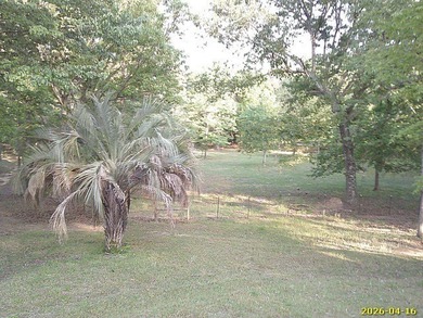 Beautiful country log home on 14 acres treated like a park. Many - photo 21
