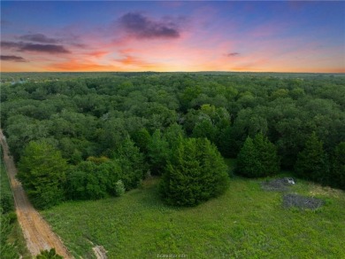 Lake Home For Sale in Normangee, Texas