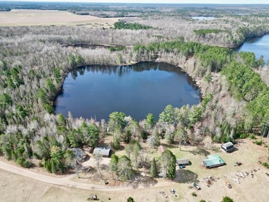 53 acres of mostly cleared land on pristine Croker Lake. The - photo 1