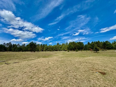 53 acres of mostly cleared land on pristine Croker Lake. The - photo 8